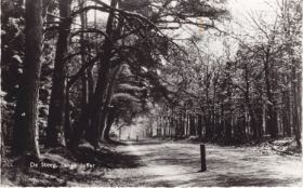 Lange Juffer De Steeg i om streeks 1953.jpg