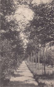 Den Imbosch weggetje 9 juli 1938 De Steeg of Ellecom  of Dieren kaart van Van Nes Dieren gepost in Aalten met WP en GRWB.jpg