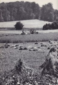 Lappendeken in oogsttijd 1954 met naam WP.jpg