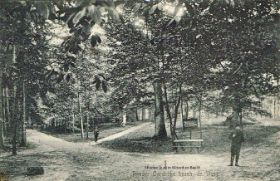 Bosgebied op landgoed Rhederoord in De steeg in 1918. FB 2-7 en site 30-7-2017.jpg