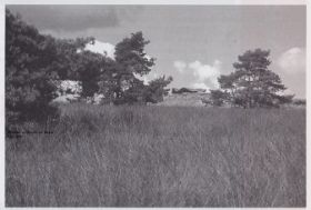 De Elsberg bij Laag - Soeren een uitkijkpost hartje natuur 1993 FB 19 juli 2015 (1).jpg