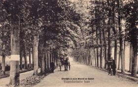 Paard en wagen op de zandweg Rozendaalselaan Velp 1910 FB en site 22-9-2017.jpg