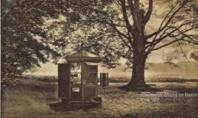 Kruisboom rond 1910.jpg