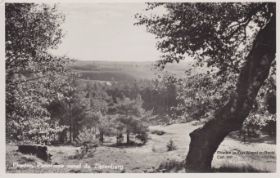 Panorama v.a de Zijpenberg Rheden 1930-1940 FB 4 nov. 2016.jpg