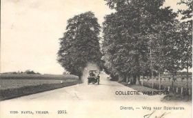 Terense Allee in 1904.jpg