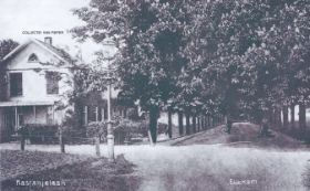 Kastanjelaan Ellecom 1931.jpg
