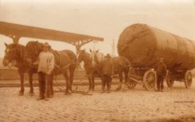 Medewerkers houthandel Hupkes staan met vier krachtige knollen met zwaar transsport boomstam bij station Dieren vermoedelijk in rond 1919..jpg