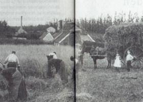 Roggeoogst op  Pinkenberg Velp in of omstreeks 1906 met naam WP.jpg